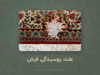 علت پوسیدگی فرش
